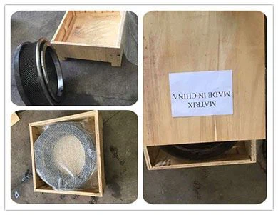 Ring Die Mold Matrix3